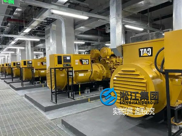 发电机SHM可调式弹簧减振器安全降噪